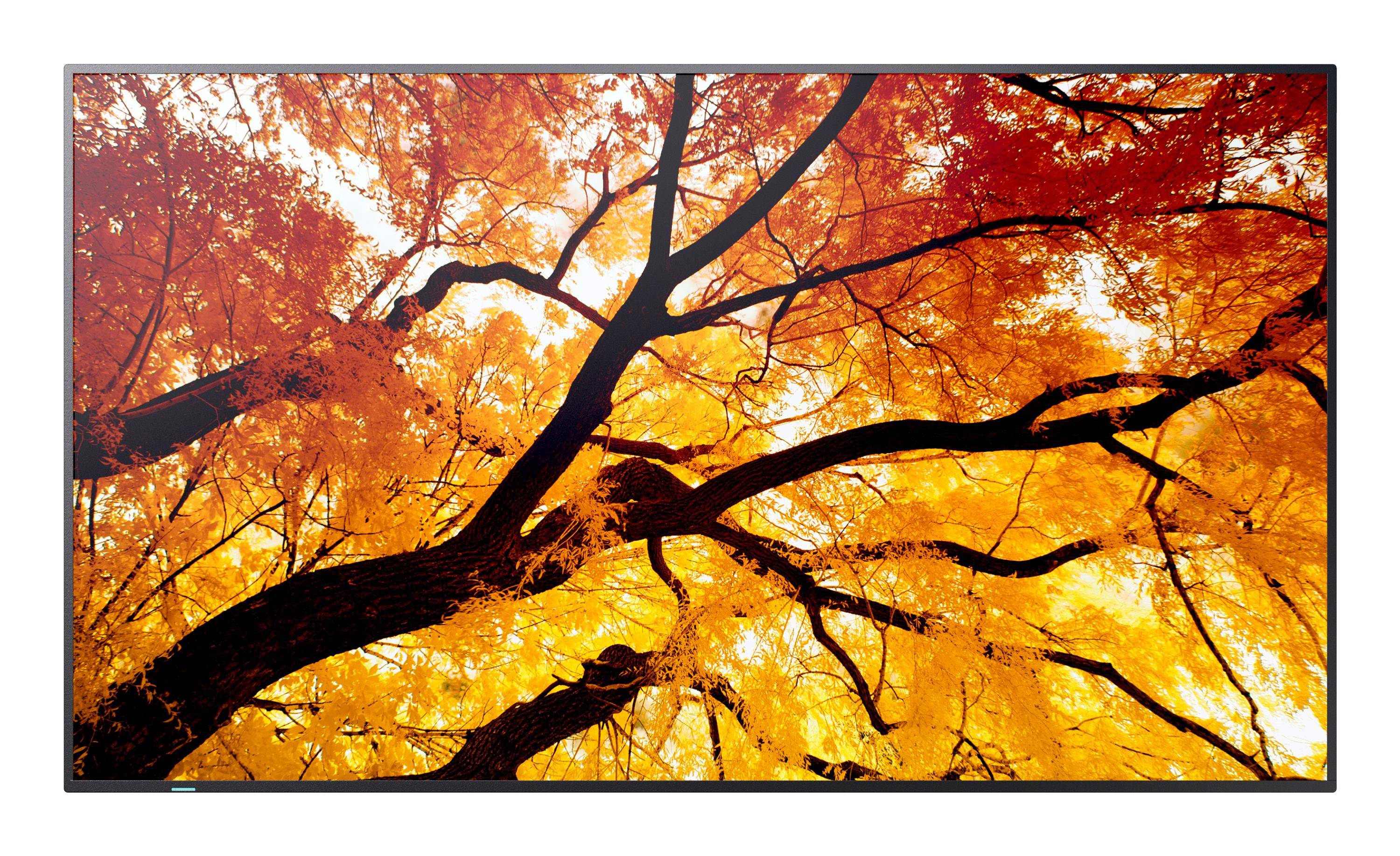 Sharp PN-M322 - 81 cm (32") Diagonalklasse M-Series