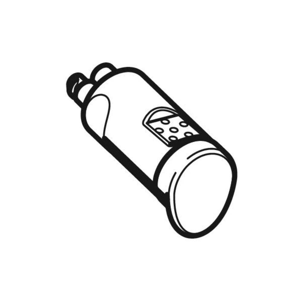 Geberit Duschdüse für AquaClean 8000, 250071001