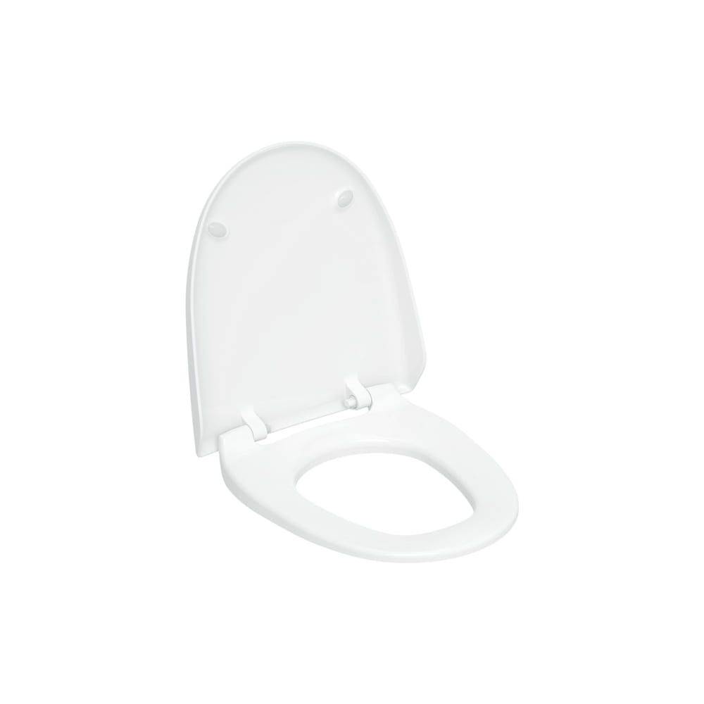 Geberit WC-Sitz für AquaClean 8000/8000plus, Duroplast, Absenkautomatik, Alpinweiß, 250034111