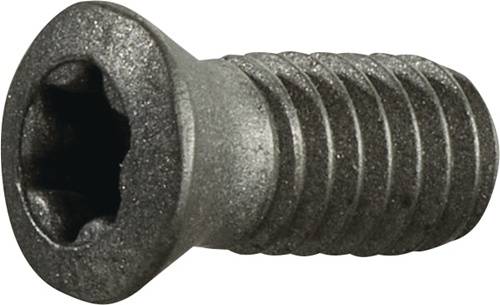 Spannschraube Gr.T15 f.TCGX 1635 M4 Gewinde-L.9mm z.Fasenfräser TECWERK