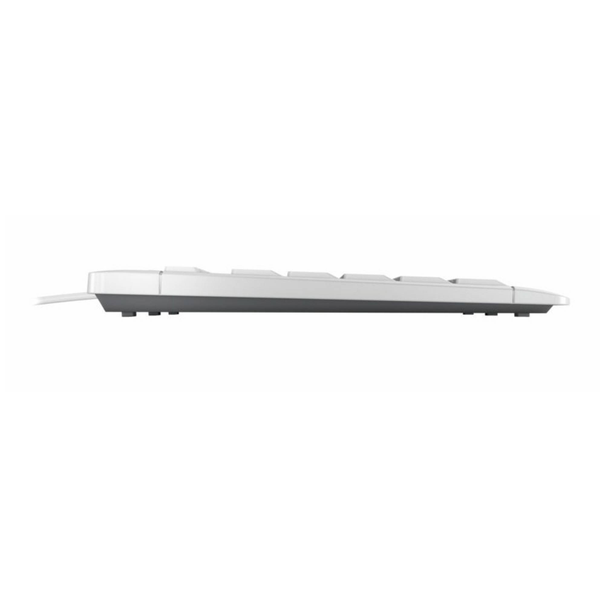 CHERRY STREAM KEYBOARD, Volle Größe (100%), Kabelgebunden, USB, Scherenschalter, QWERTZ, Hellgrau
