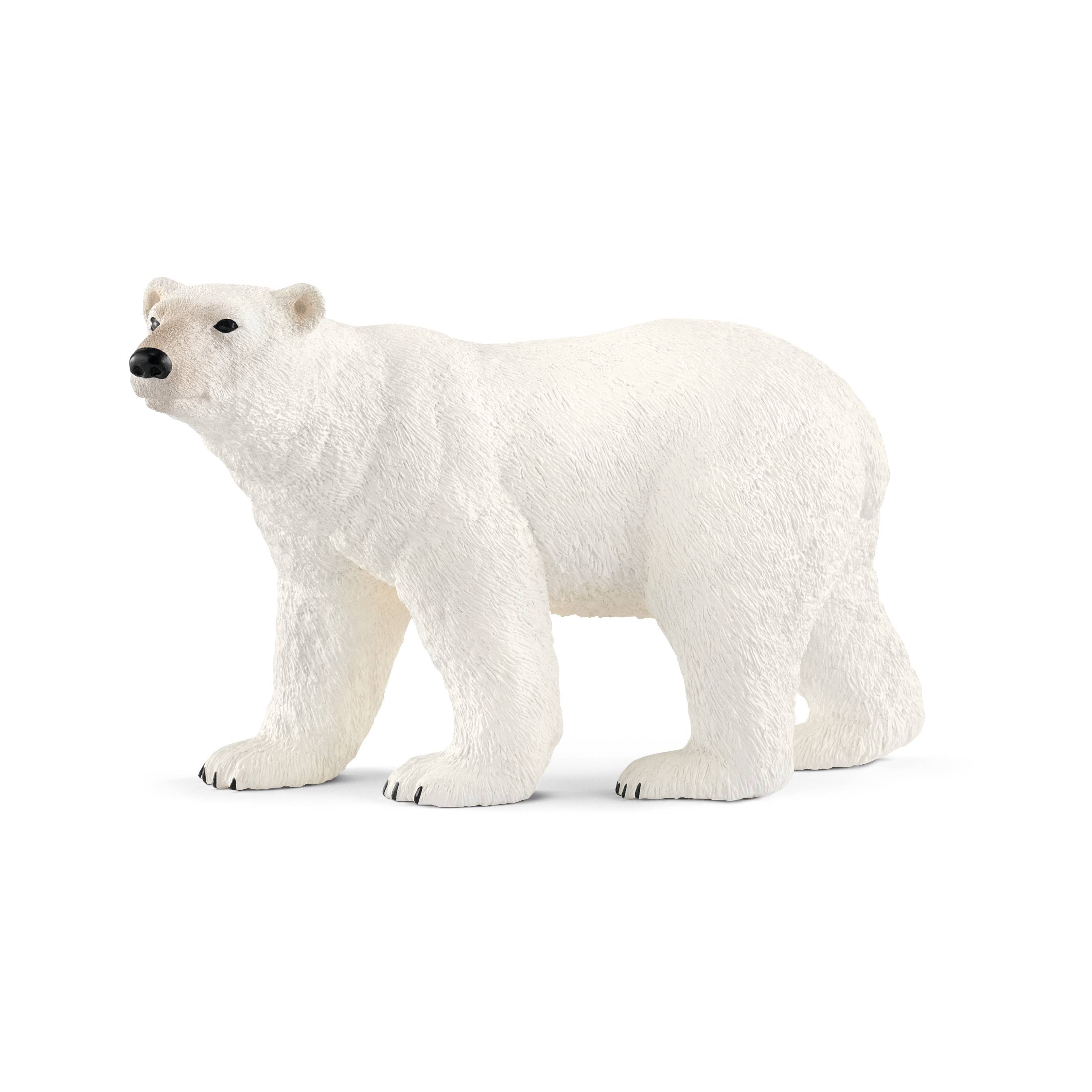 schleich WILD LIFE Eisbär, 3 Jahr(e), Mehrfarbig, Kunststoff