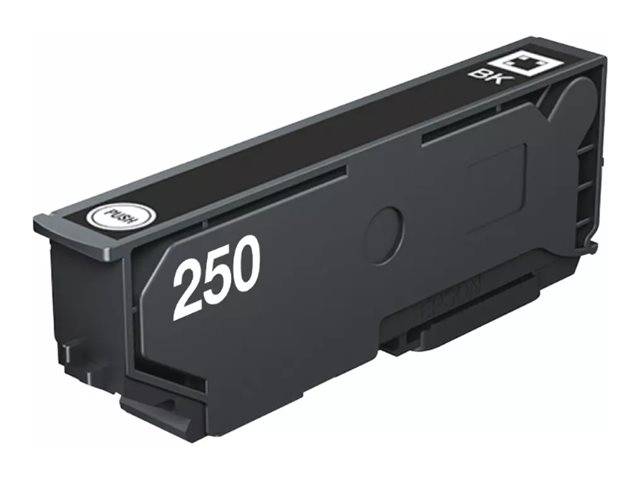 Epson Singlepack Black 250 ink