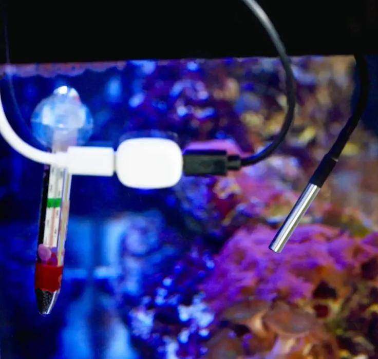 SHELLY Temperatursensor The Pill DS18B20
