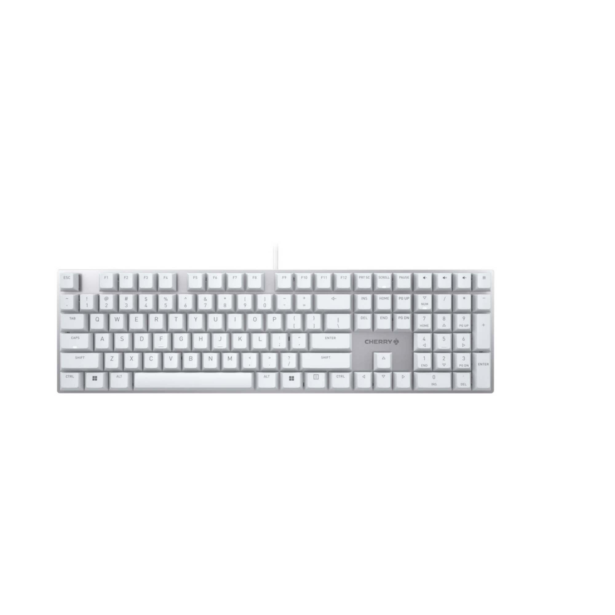 Cherry KC 200 MX, Volle Größe (100%), Kabelgebunden, USB, Mechanischer Switch, QWERTY, Silber, Weiß