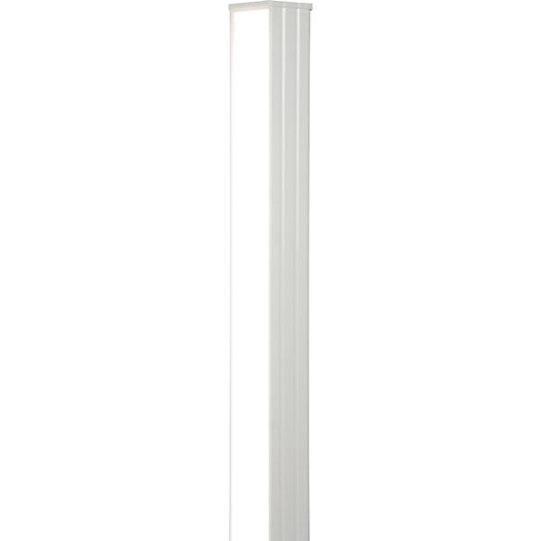 LED-Säulenleuchte MAULpino Eco dimmbar Höhe 113 mm weiß. MAUL 86138849