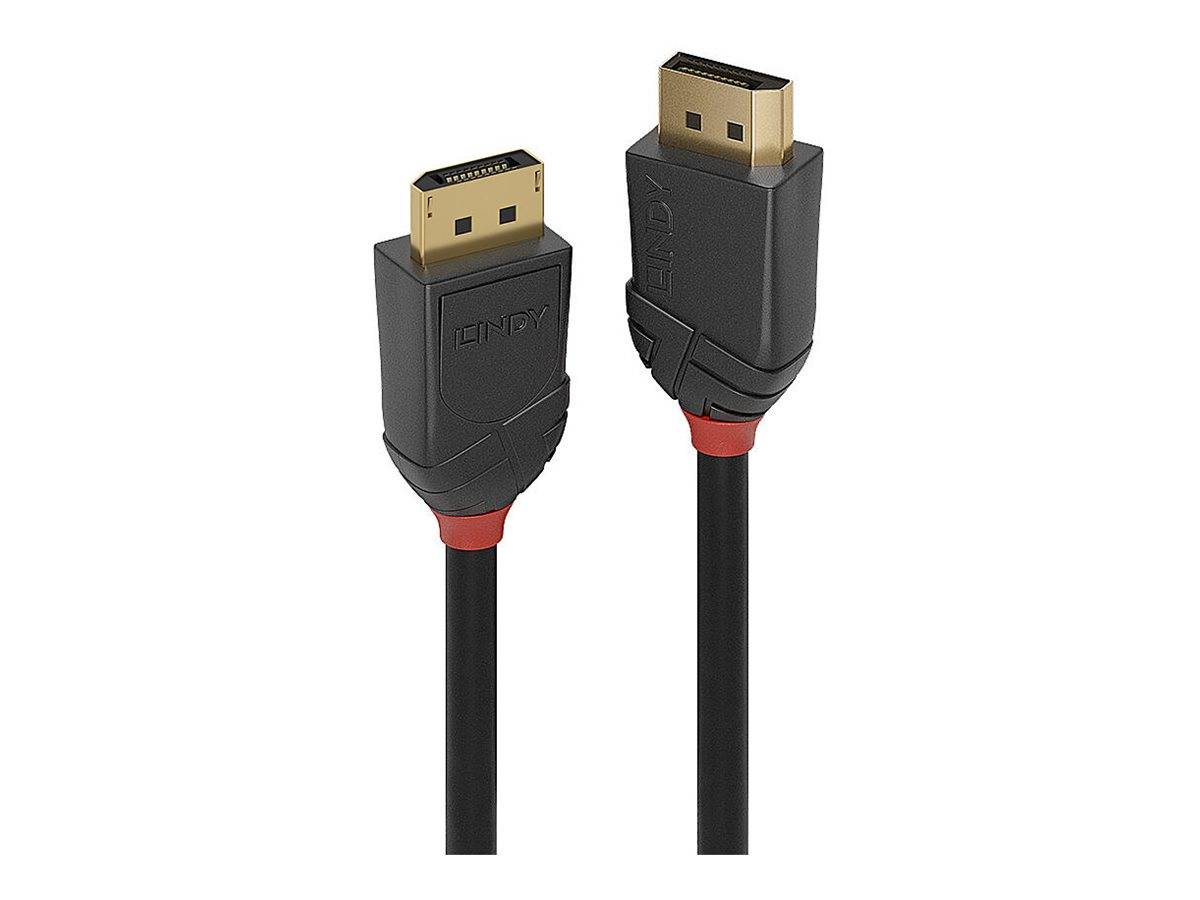 Lindy Black Line - DisplayPort-Kabel - DisplayPort (M)zu DisplayPort (M) -