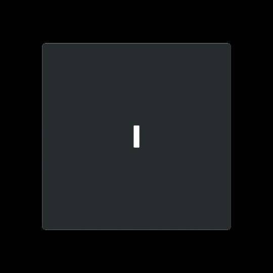 Busch-Jaeger Wippe m. Beschriftungsfeld 1789 N-45