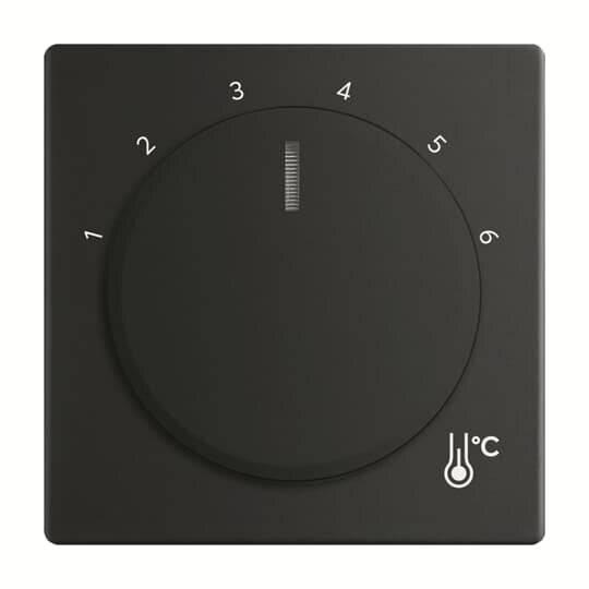 Busch-Jaeger Zentralscheibe 1794 R-885