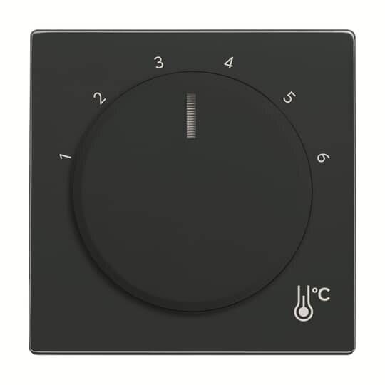 BJ Zentralscheibe Temperatur 1794 R-81 rund