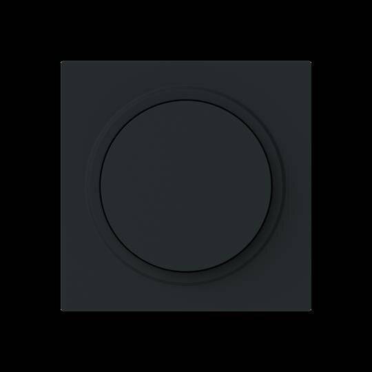 Busch-Jaeger Zentralscheibe 6540-45M-102