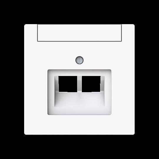 BUSCH JAEGER 1803-02-44G Zentralscheibe 2-fach UAE Beschriftungsf 2CKA001710A4227