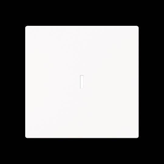 Busch-Jaeger Wippe m. Beschriftungsfeld 1789 N-44