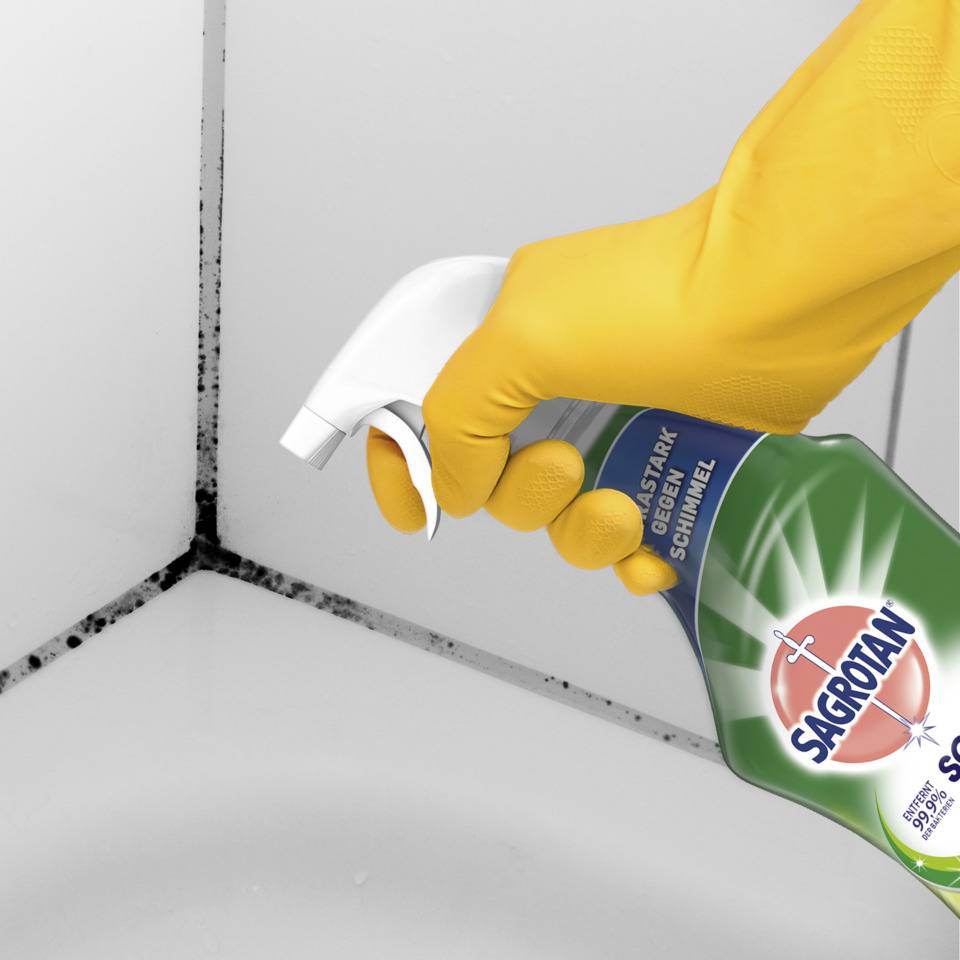 Schimmelentferner 750ml SAGROTAN 3284270