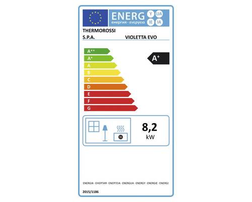 Festbrennstoffherd Thermorossi Violetta Evo 8,2 kW mit Naturstein und Gusseisen-Kochfeld