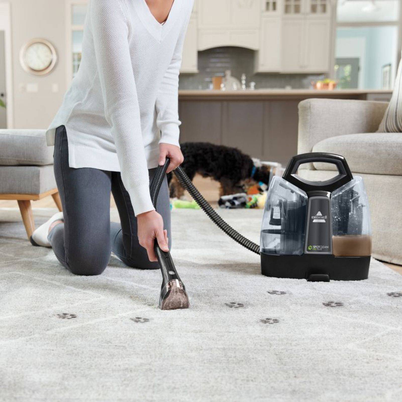 Spotclean Pet Plus 37241 black