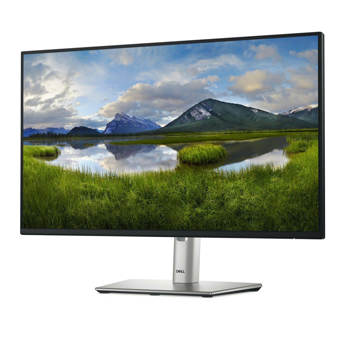 P Series P2425H Computer