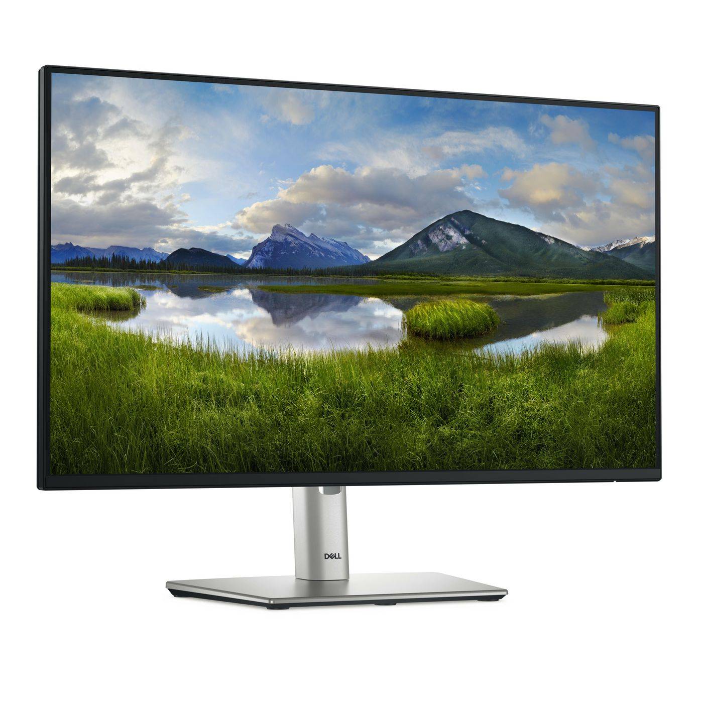 P Series P2425H Computer