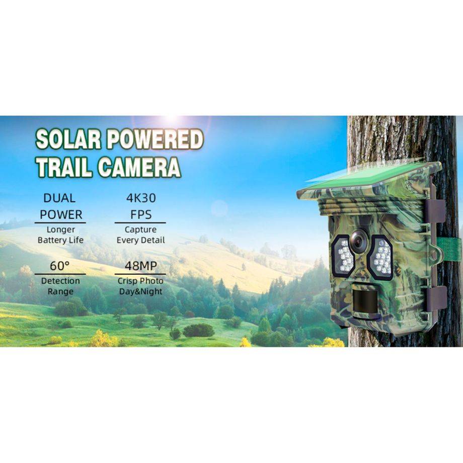 Racoon Solar 4K Wildkamera
