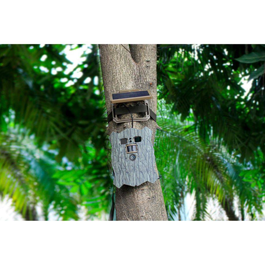 Owl Solar 4K Wifi Wildkamera