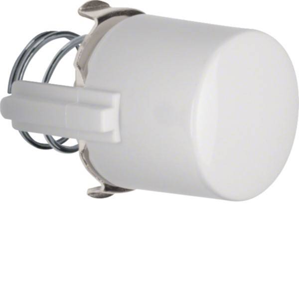 Hager Tasterknopf WTF5285WG f.Drucktaster u.Lichtsignal E10 Install.Baumaterial Schaltermat/Geb.Steu