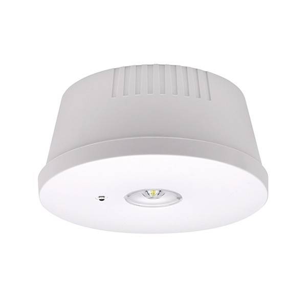 ESYLUX LED-Notleuchte ELH-2 EL #EN10080067