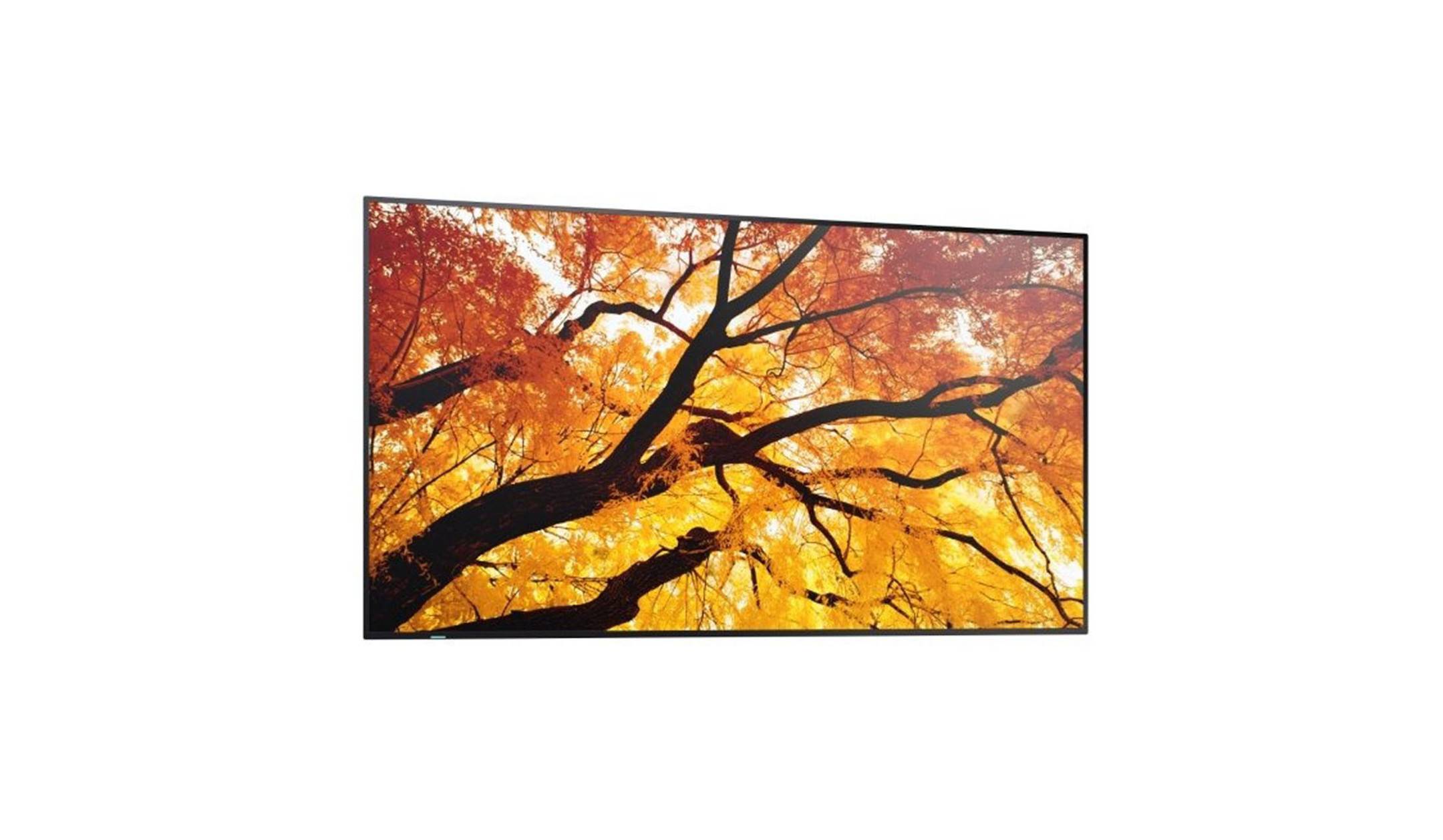 Sharp PN-M322 - 81 cm (32") Diagonalklasse M-Series
