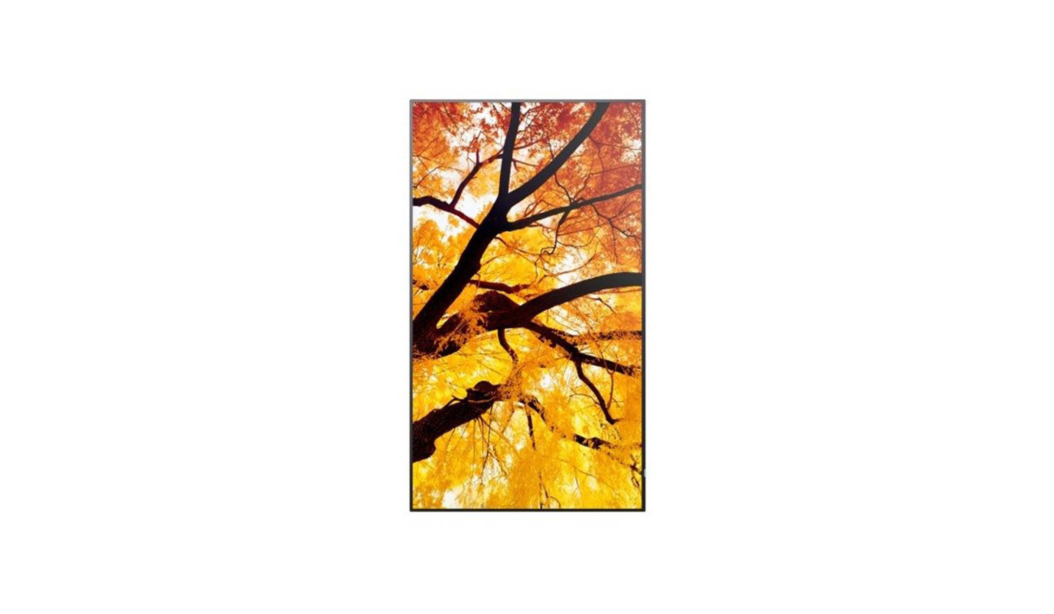 Sharp PN-M322 - 81 cm (32") Diagonalklasse M-Series