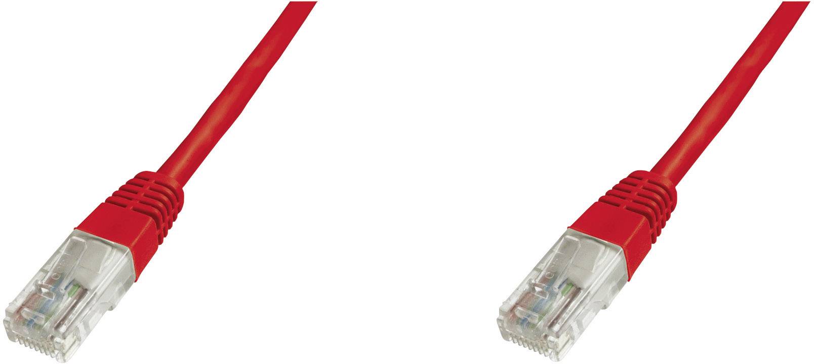 Zwei rote Ethernet-Kabel nebeneinander mit transparenten Steckern auf weißem Hintergrund.