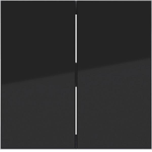 Hager Wippe 2fach A.x/C.x WAW2000BG