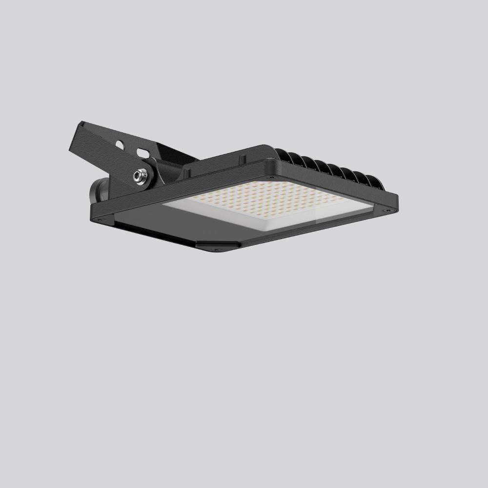 RZB LED-Strahler BSX110220.03