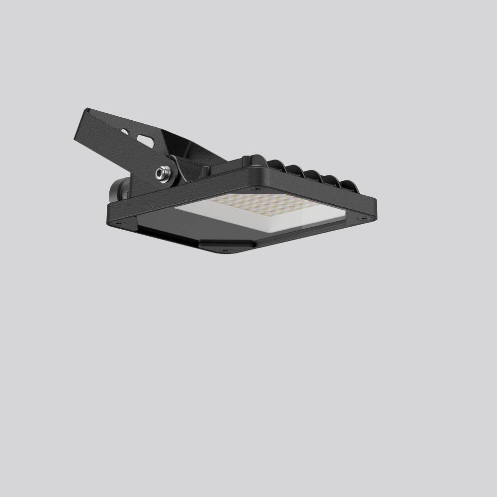 RZB LED-Strahler BSX110210.03