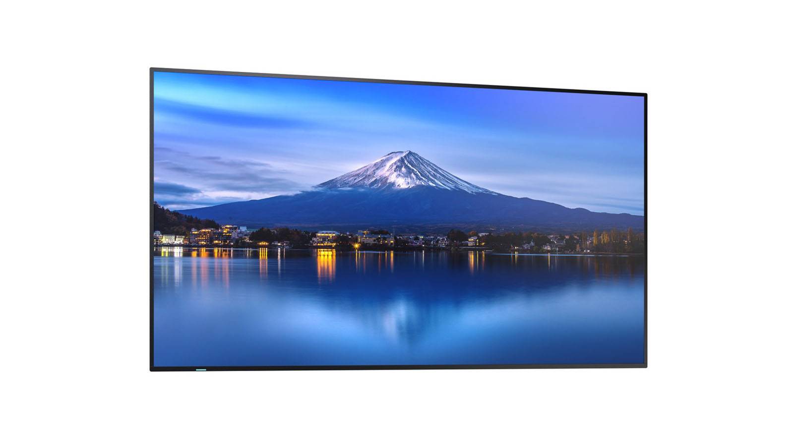 MultiSync PN-P506 - 127 cm (50") Diagonalklasse (125.7 cm (49.5")