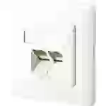 Metz Connect 1307381002-I Netzwerkdose Unterputz Einsatz mit Zentralplatte und Rahmen CAT 6 2 Port Reinweiß Metz Connect 1307381002-I Netzwerkdose Unterputz Einsatz mit Zentralplatte und Rahmen CAT 6 2 Port Reinweiß