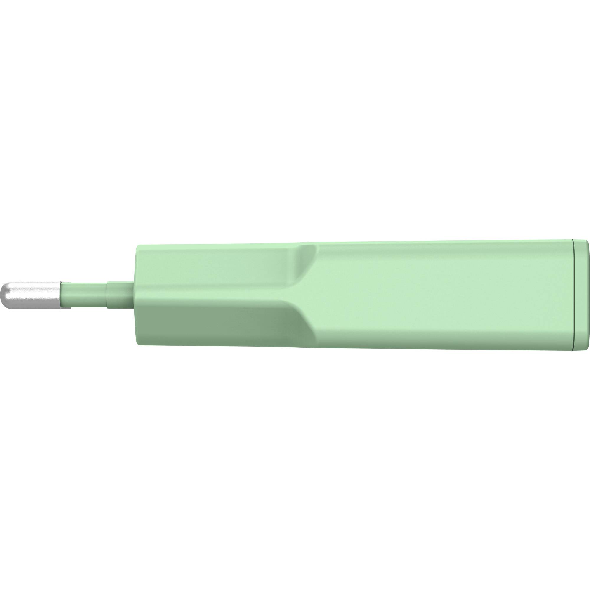 InLine USB-C Ladegerät - 30W - GaN - Dual USB-C - PD/PPS - Matcha Latte/grün