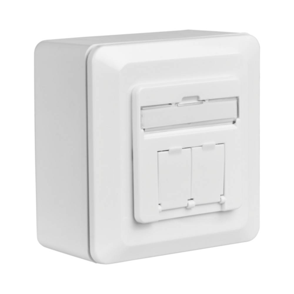 Netzwerkdose Datendose Cat.6A 500MHz oben/unten, Aufputz, 2xRJ45, RAL9010 - 1 VPE = 30 Stï¿½ck