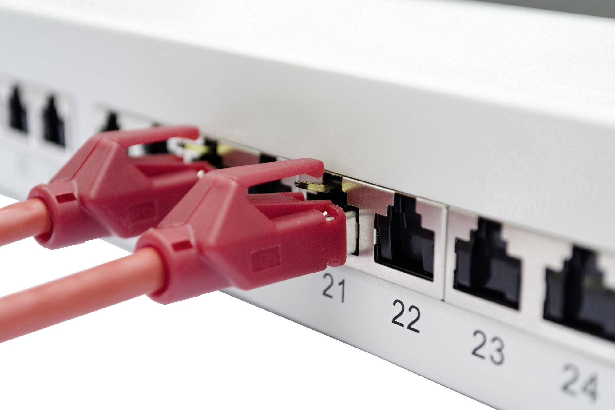 Digitus DN-91624S-EA 24 Port Netzwerk-Patchpanel 483mm (19") CAT 6a 1 HE Lichtgrau (RAL 7035) Bestückt