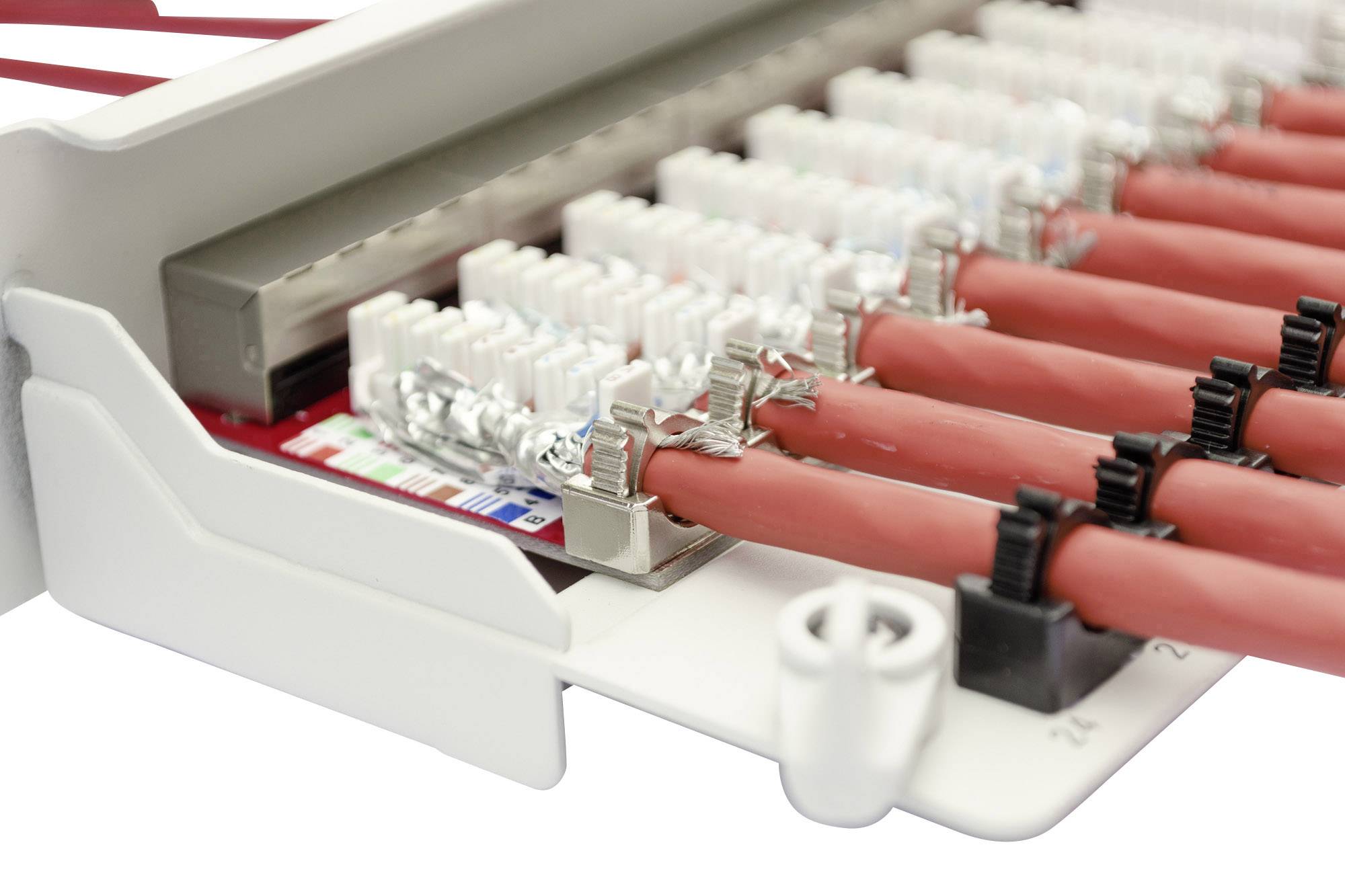 Digitus DN-91624S-EA 24 Port Netzwerk-Patchpanel 483mm (19") CAT 6a 1 HE Lichtgrau (RAL 7035) Bestückt