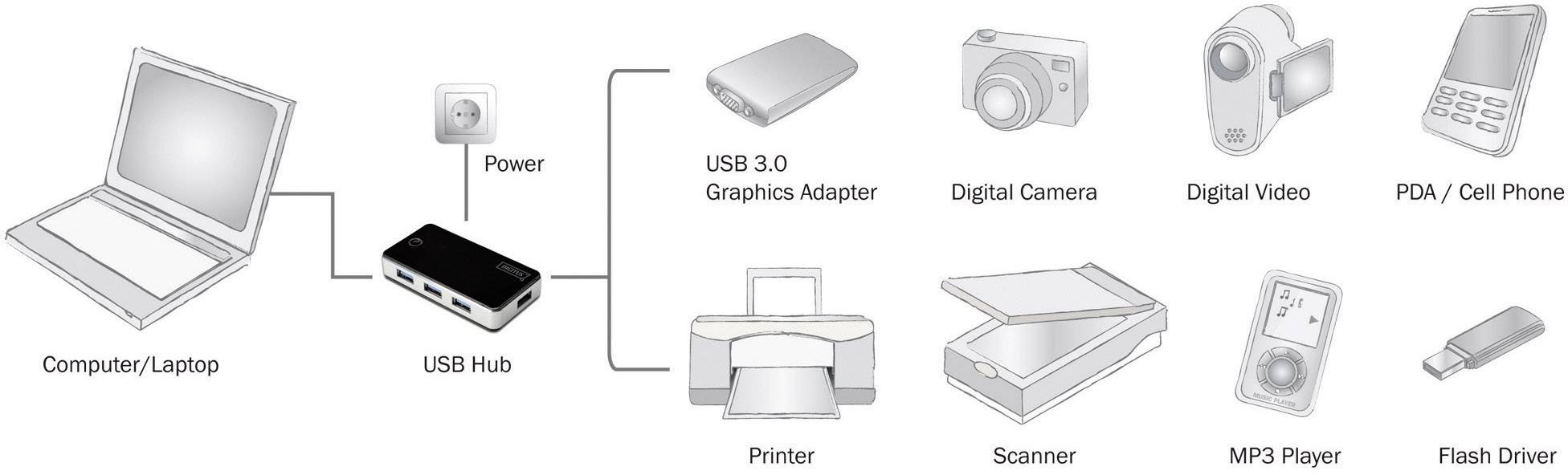 Digitus