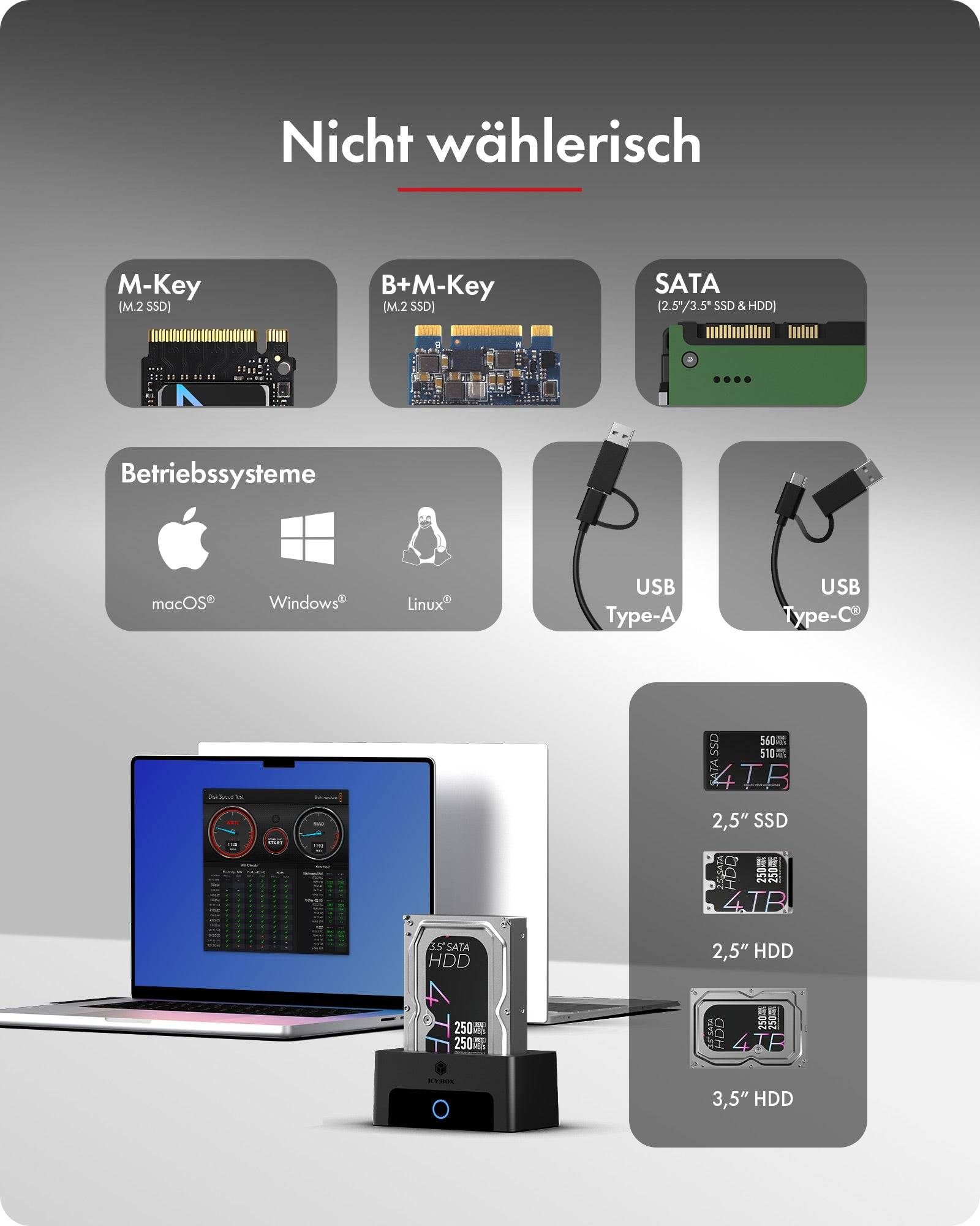 Dockingstation IcyBox für M.2 NVMe 2,5"/3,5" HDD/SSD