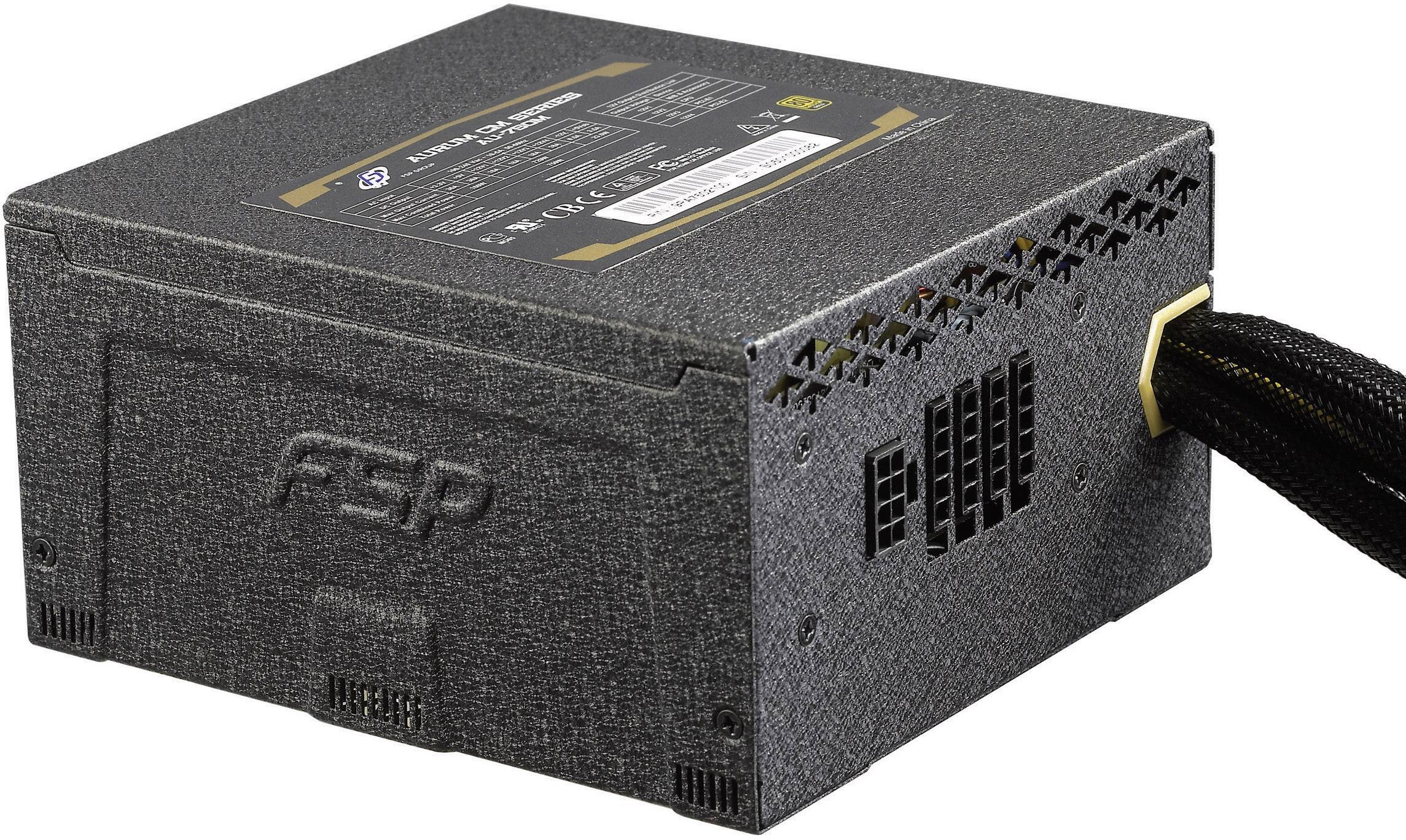 FSP Fortron 550 W ATX 80PLUS® Gold
