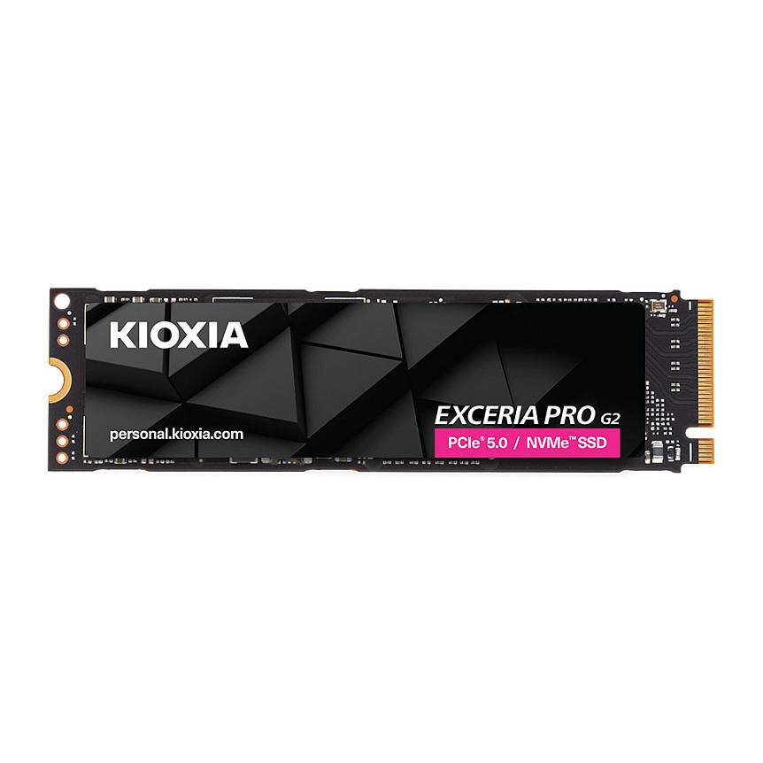 Kioxia LVE10Z4T09G8 Speicher