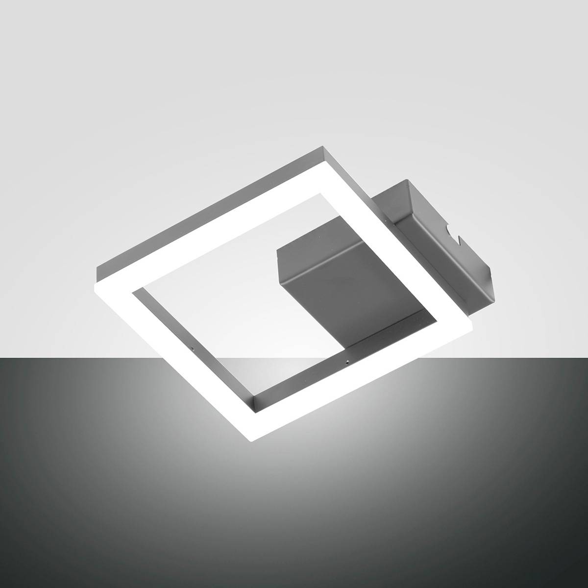 Fabas Luce Bard 3394-24 LED Wand- / Deckenleuchte anthrazit