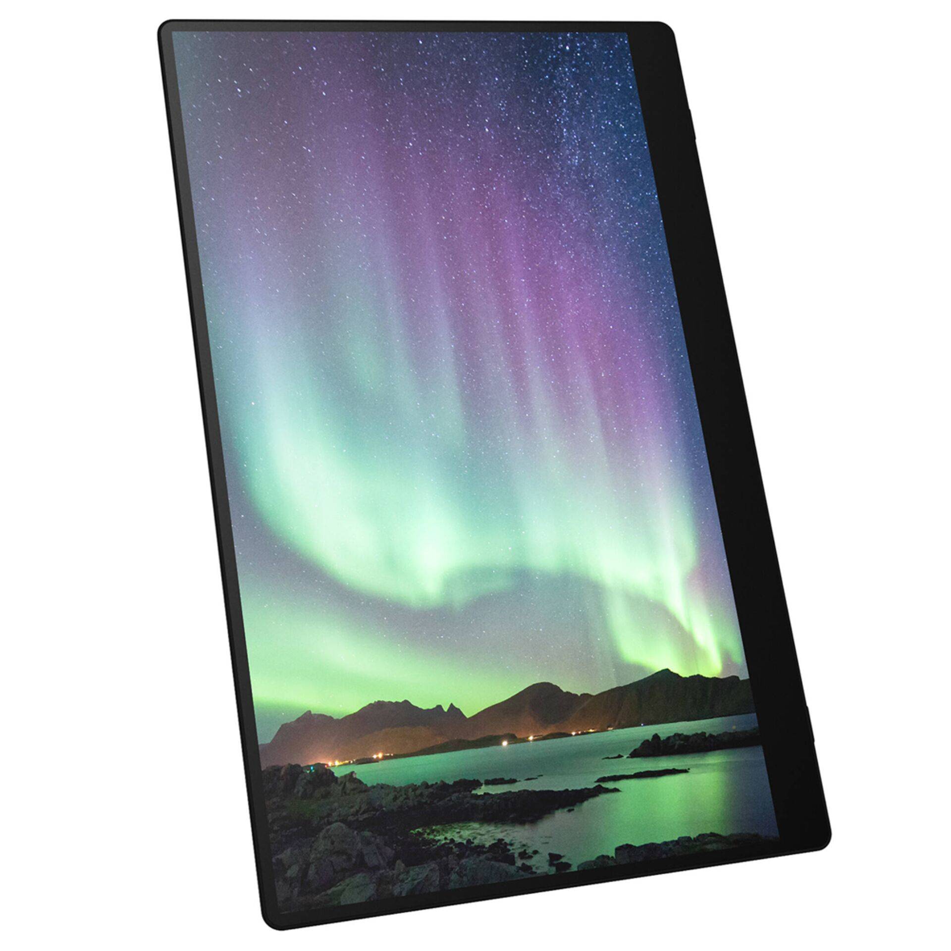 Ricoh 150BW OLED-Monitor 39,6 cm 15.6" tragbar Touchscreen 1920 x 1080 Full HD 1080p @ 60 Hz 300 cd/m² 100000:1 1 ms
