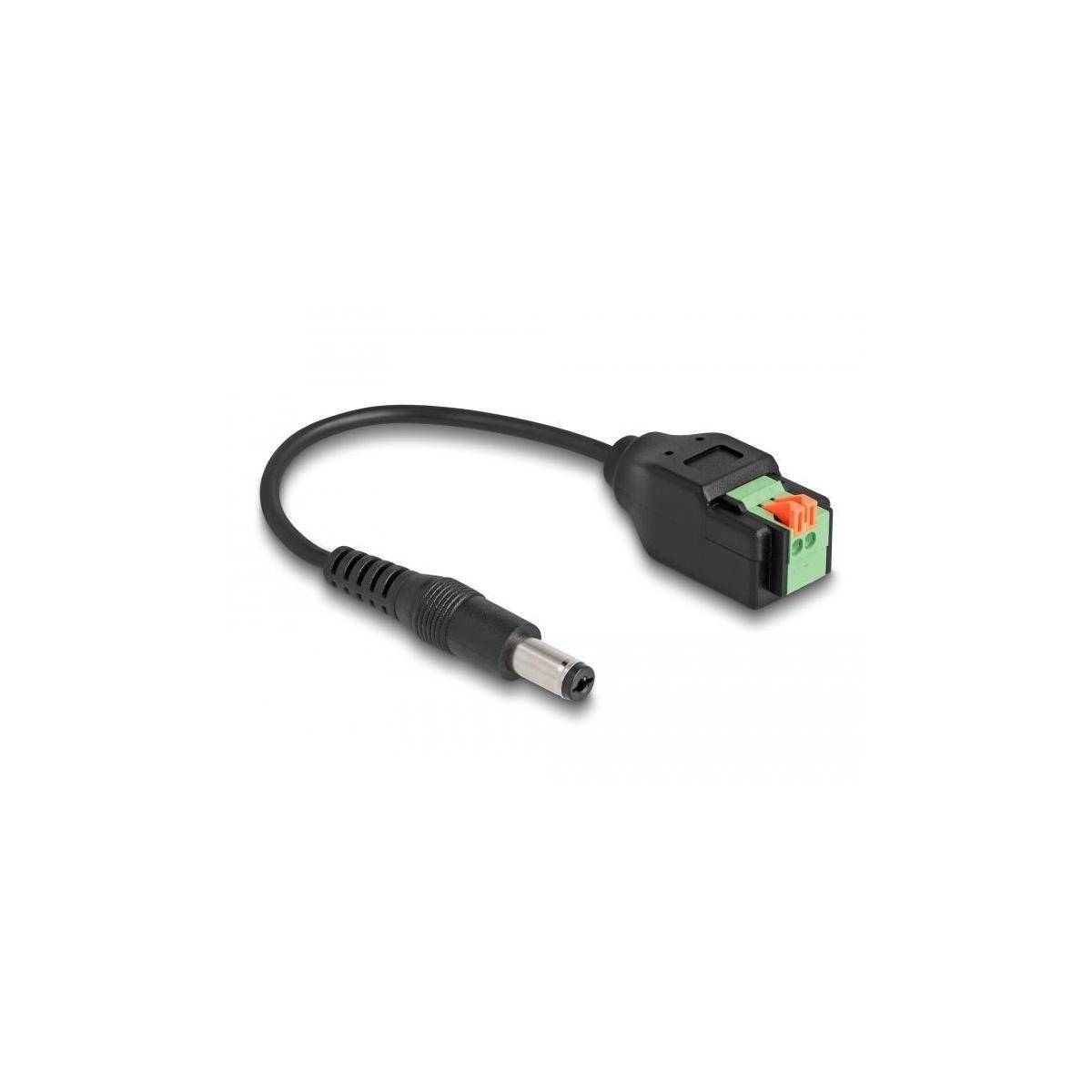 Delock Netzteil - 2-polige Klemmleiste zu Gleichstromstecker 5,5 x 2,1 mm (M) -