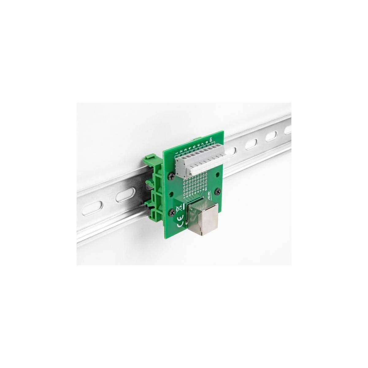Delock Netzwerkadapter - RJ-45 (W) zu 9-poliger