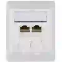 Telegärtner Netzwerkdose Aufputz CAT 6a 2 Port Alpinweiß Telegärtner Netzwerkdose Aufputz CAT 6a 2 Port Alpinweiß