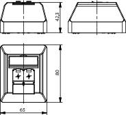 Telegärtner Netzwerkdose Aufputz CAT 6a 2 Port Alpinweiß