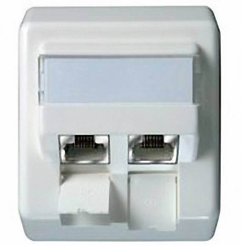 Netzwerkdose Aufputz CAT 6a 2 Port Perlweiß