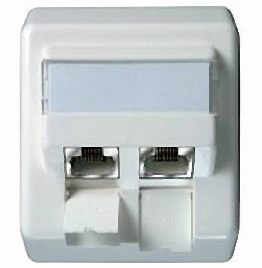 Telegärtner Netzwerkdose Aufputz CAT 6a 2 Port Perlweiß